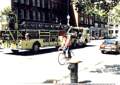 Ladder 17