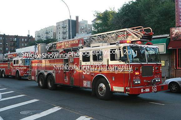 Ladder 56