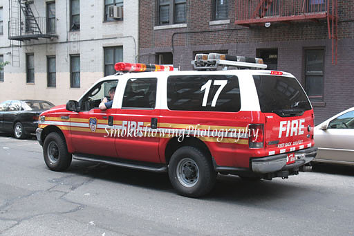 Bat17.jpg