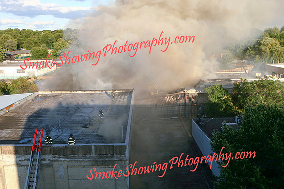 Bushwick242.jpg