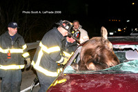 Moose 048.jpg