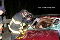 Moose 051.jpg