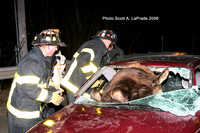 Moose 053.jpg