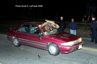 Moose 006.jpg