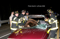 Moose 056.jpg