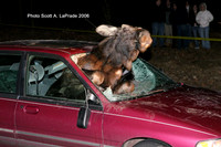 Moose 036.jpg