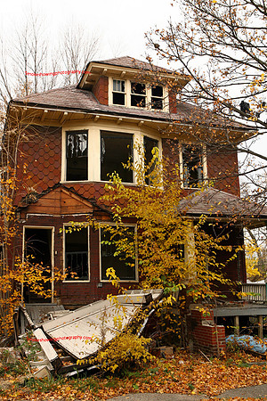 Detroit Landscape 005.JPG