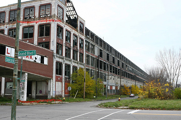 175.JPG