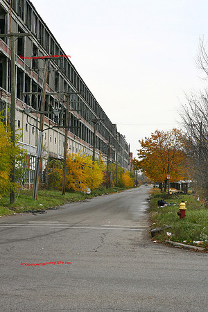 179.JPG