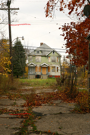 Detroit Landscape 008.JPG