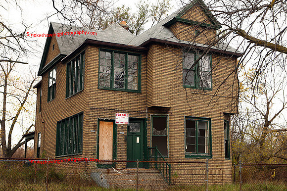 Detroit Landscape 010.JPG