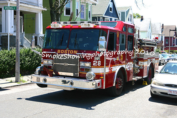 SpeedwellSt02.jpg