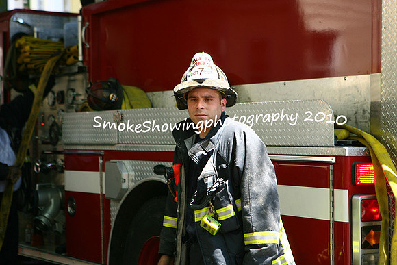 SpeedwellSt67.JPG