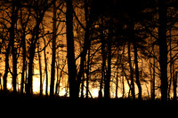 Falmouth - Brush Fire - May 26th