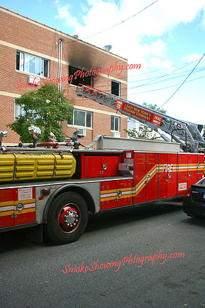 BelmontAve01.jpg