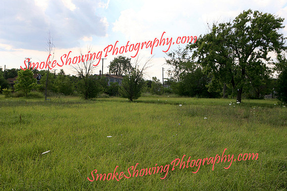Landscape28.jpg