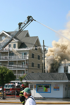 OldOrchard095.jpg